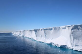 Scientists Went Looking for Shackleton’s Endurance. They found a Hidden Fish City in Perfect Formation Instead