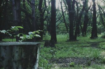 Hideo Kojima’s ‘P.T.’ Demo is Helping Japanese Kids Learn English