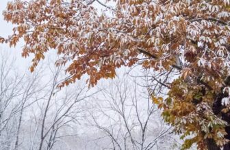 The Little Things Newsletter #496 – Life, laughter, and lots of great food!