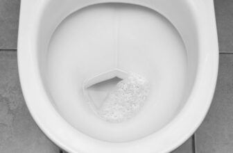 Norovirus Is Back With a Vengeance