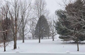 The Little Things Newsletter #499 – Life, laughter, and lots of great food!