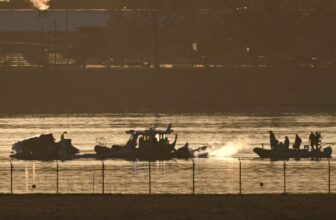 FAA Could Have Prevented Fatal D.C. Plane Collision, Investigation Finds