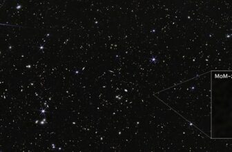 Astronomers share new insights about the early universe via the Webb Space Telescope