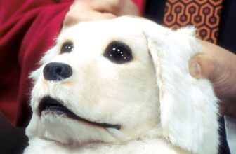 The Dogbert Puppet From the Lost ‘Dilbert’ Live-Action TV Show Is Haunting