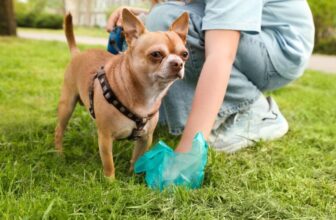 Scientists Found Something Unexpected in Pet Poop—and It’s Not Good