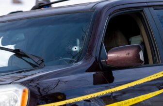 Stop Using AI to Unmask the ICE Agent Who Killed Renee Good