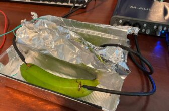 Audiophiles Fail to Hear Difference in Signal Passed Through Copper Cable, Banana, and Tray of Mud